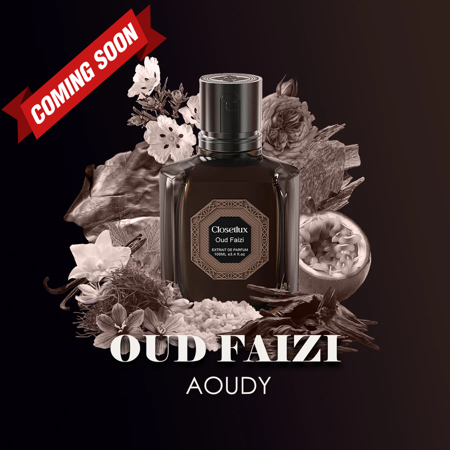 Oud Faizi